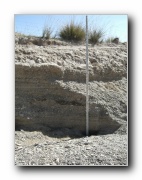 Click to enlarge this image